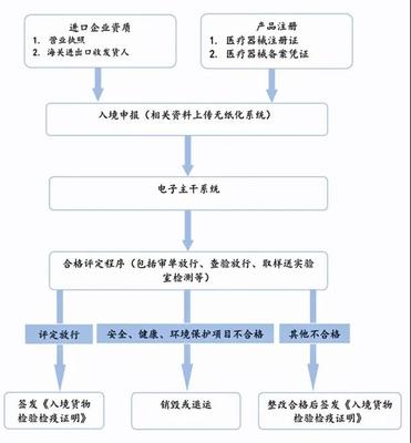 進口呼吸機申報流程深度解讀 自營與代理進出口業(yè)務的實踐指南